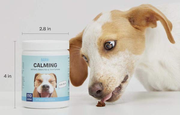 Beagle Eat BarkBox Calming Supplement