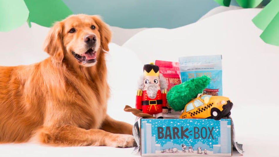 toys-golden-retrievers-barkbox-3