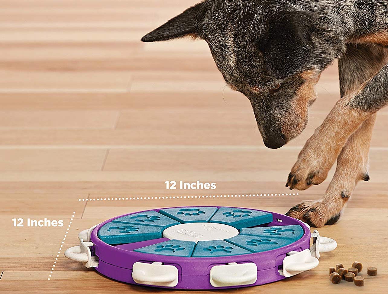 Dog Twister Advanced Dog Puzzle Toy gift