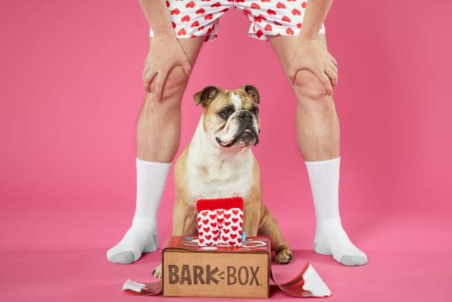 barkbox coolest dog products