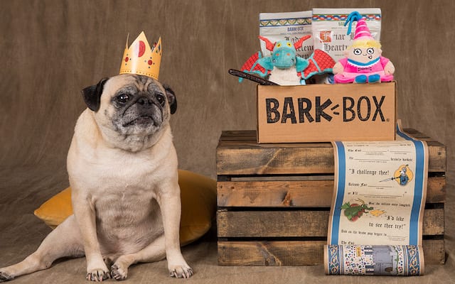 Barkbox for small clearance dogs