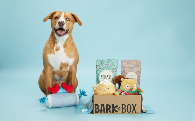 Dog With BarkBox