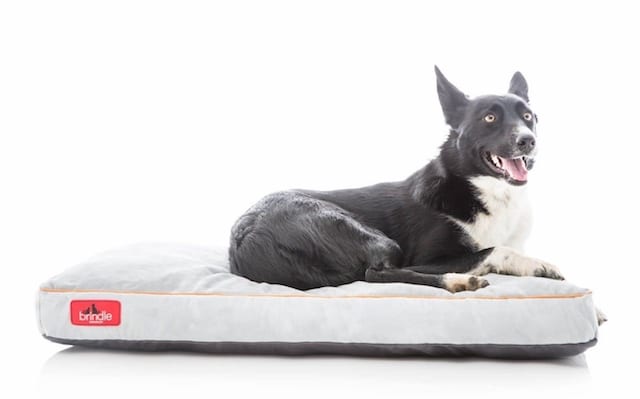 Brindle Soft Shredded Dog Bed