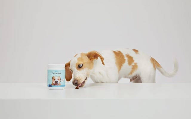 BarkBox Calming Supplement Dog Treats For Anxiety