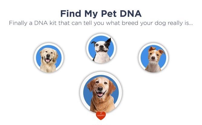 Find My Dog DNA