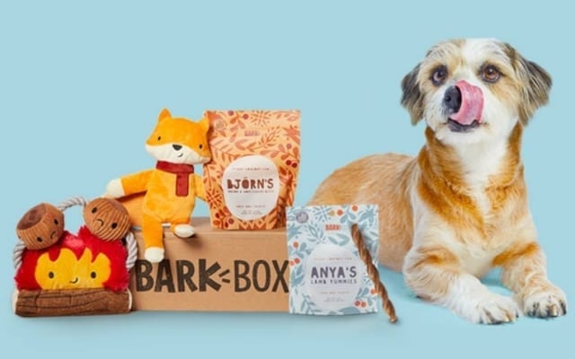Terrier with BarkBox