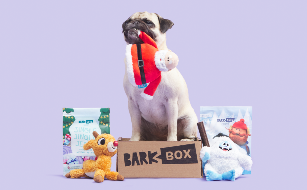 pug with rudolph themed barkbox from holiday 2021
