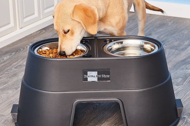 Elevated Double Bowl Dog Feeder Stand For Boxer 16 inch 