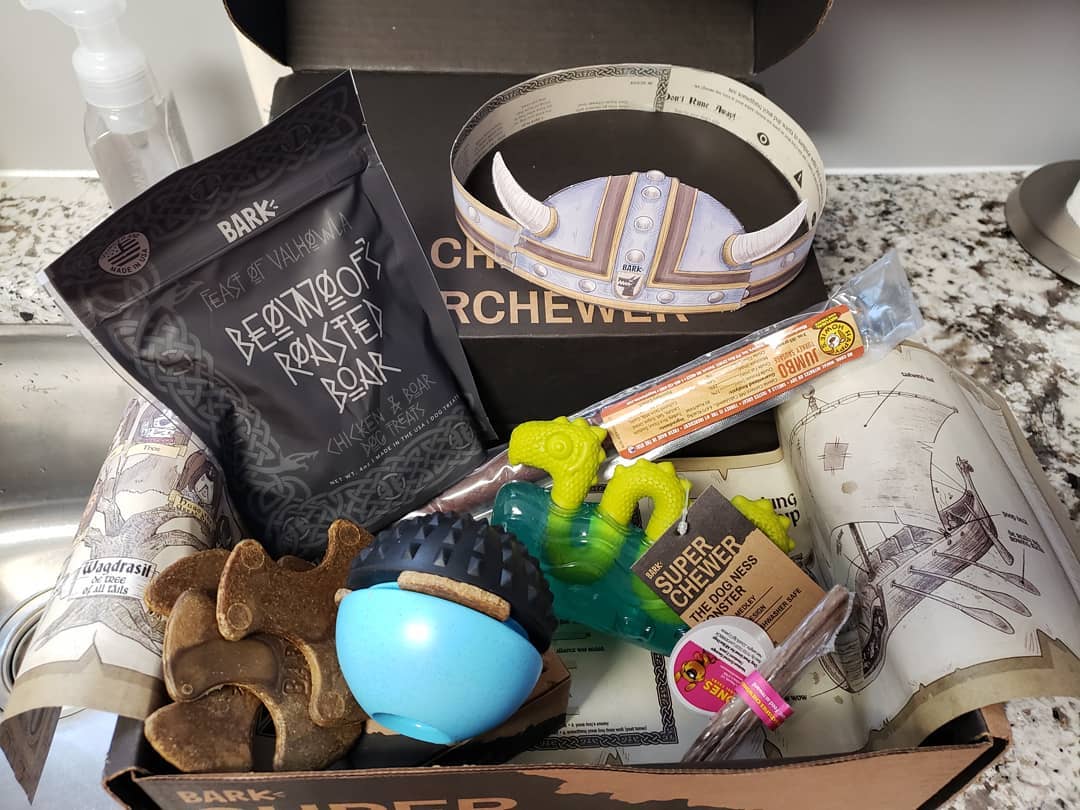 Safety - Bullymake Box - A Dog Subscription Box For Power Chewers!