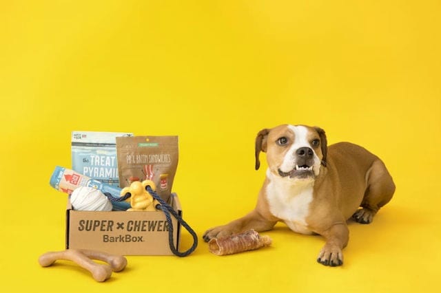 super chewer dog safe bones