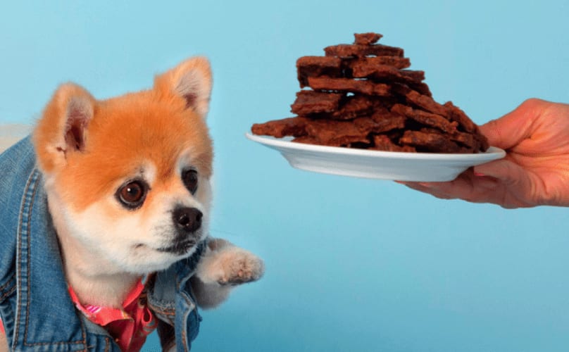 Can Dog Treats Make A Dog Sick BARK