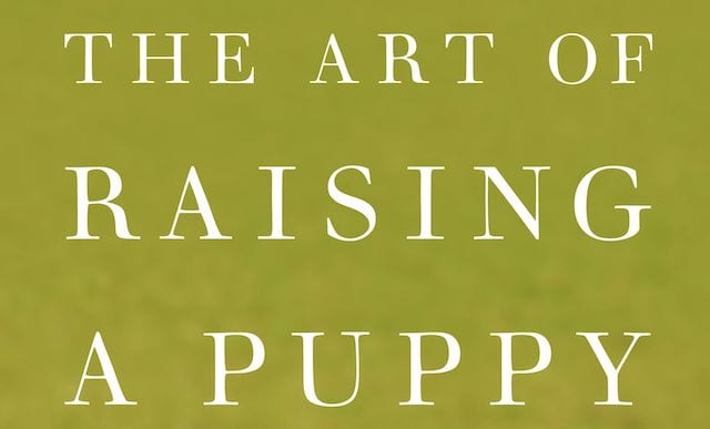 The Art of Raising A Puppy