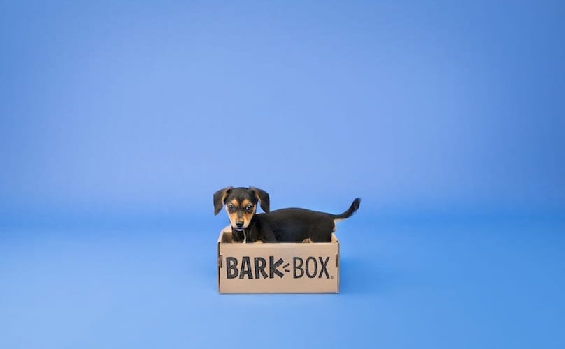 Puppy In A BarkBox