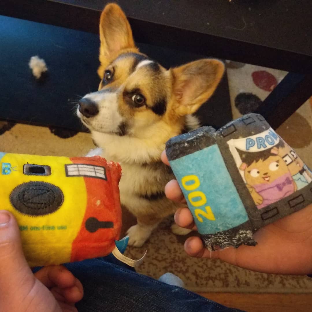 What Are Barkbox Toys Made Out Of