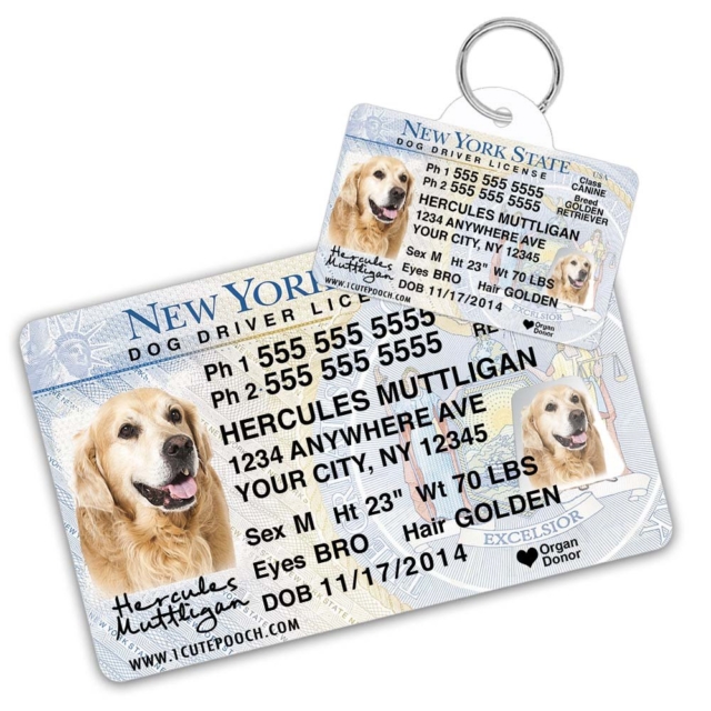  New York Driver License Custom Dog Tag for Pets and