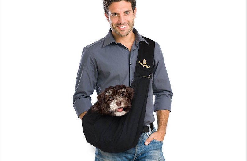 FurryFido dog carrier
