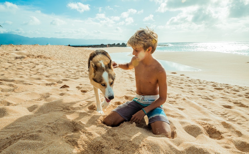 Little boy and husky at the beach