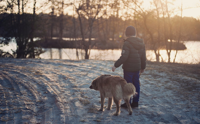 Boy and his dog walking in the snow