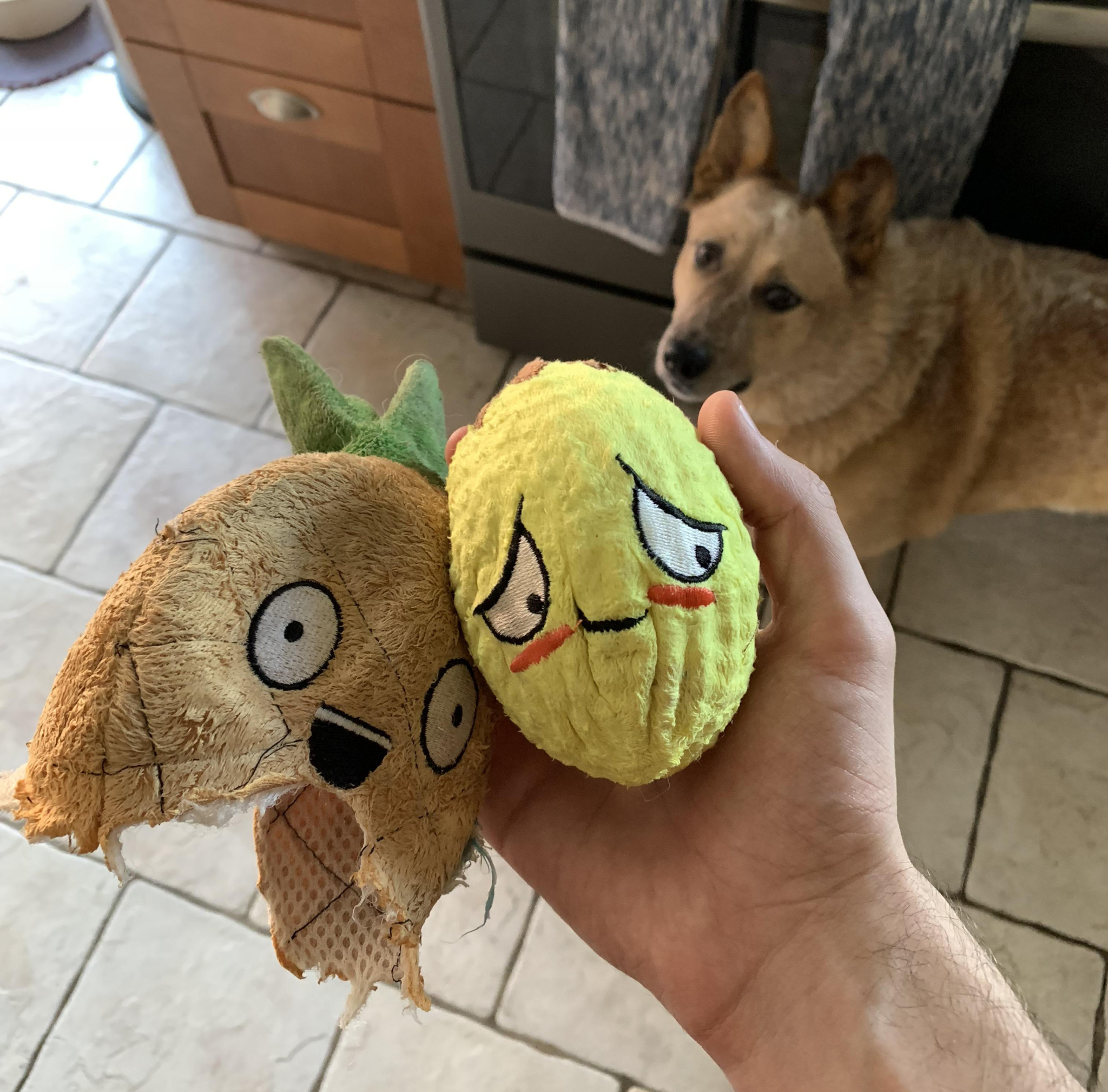 My dog's toy has another toy inside it for when she tears apart