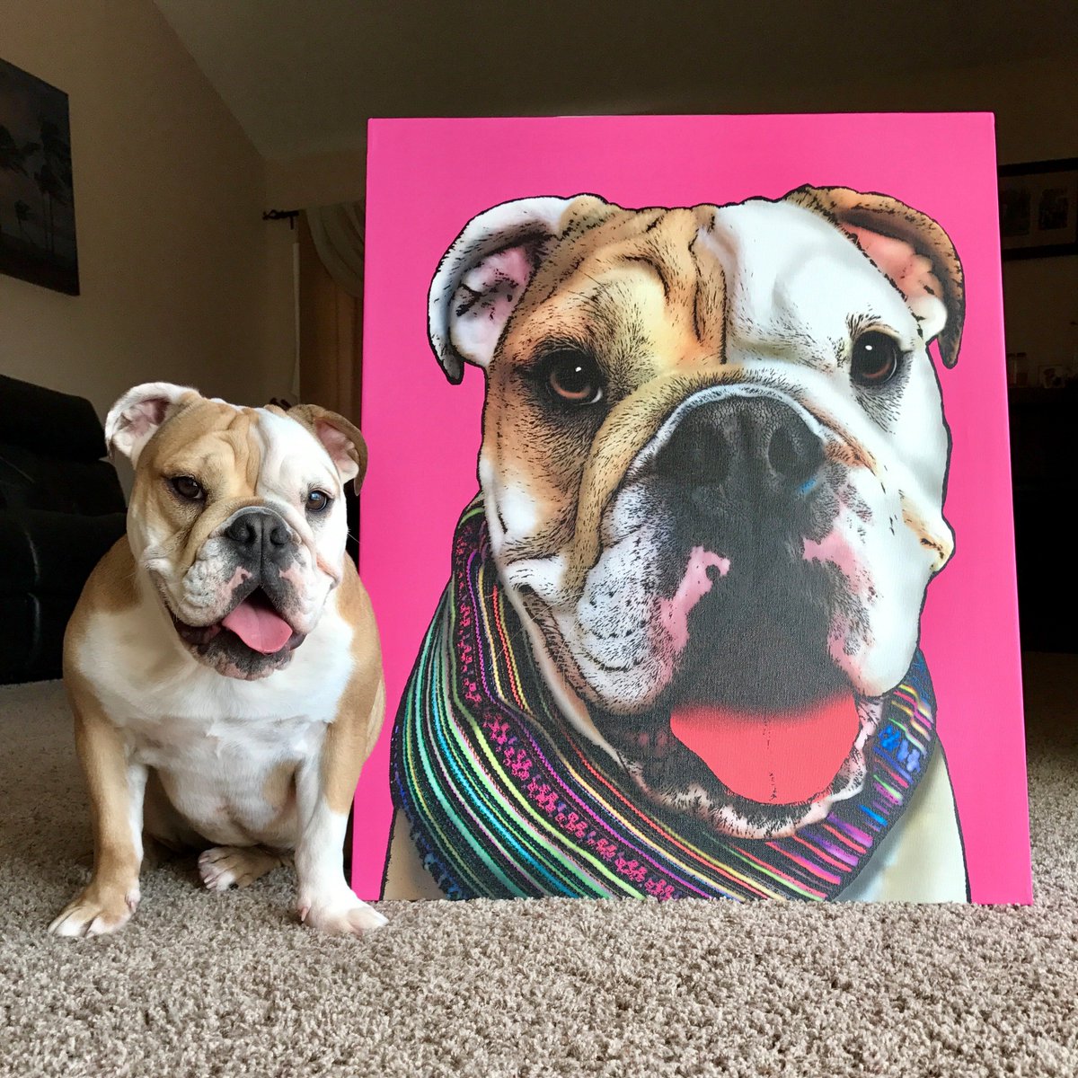 Pop Your Pup
