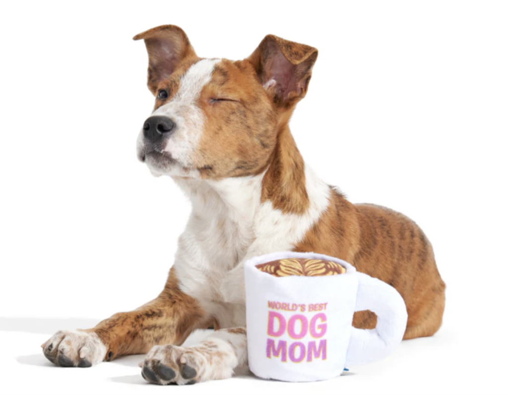Gift Mug World's Best Dog Mom Paw Pet Mother Lover Puppy