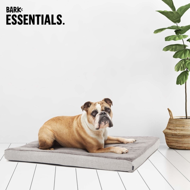 fathers-day-gift-guide-barkbox-orthopedic-bed