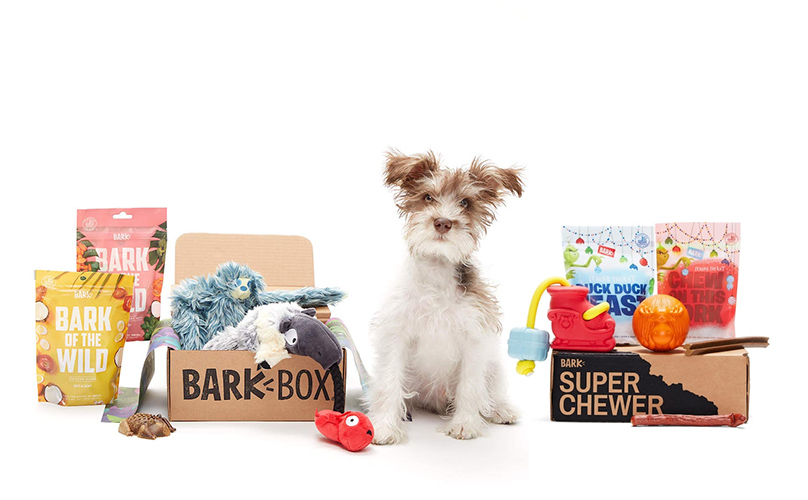 BarkBox vs Super Chewer BarkBox