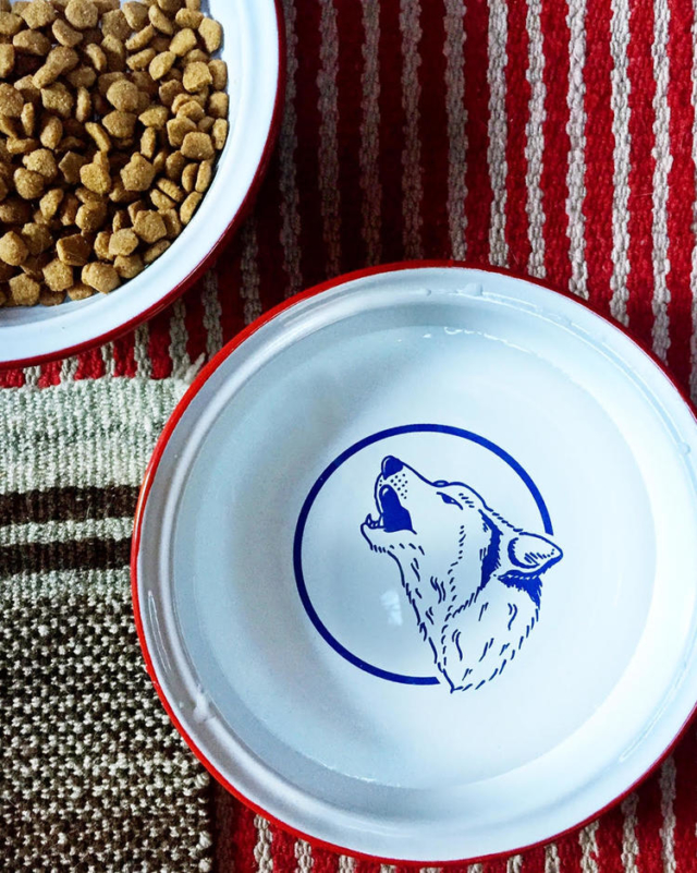 dog dish with wolf logo