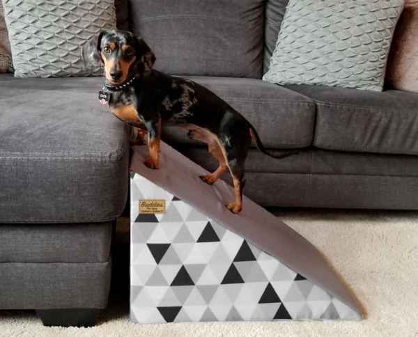 pet ramp