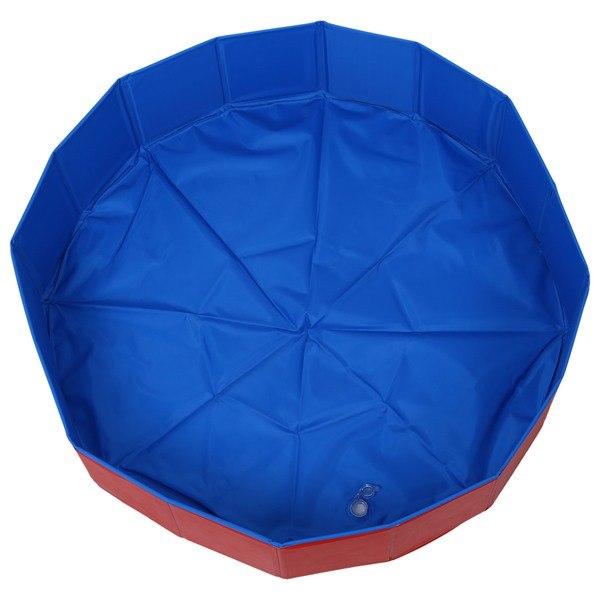 dog swimming pool