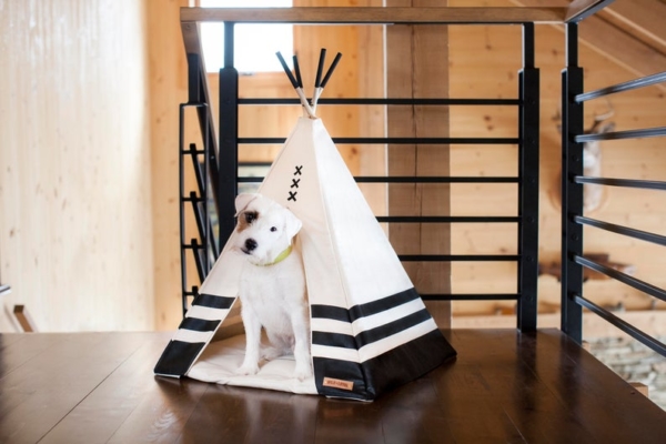 pet teepee