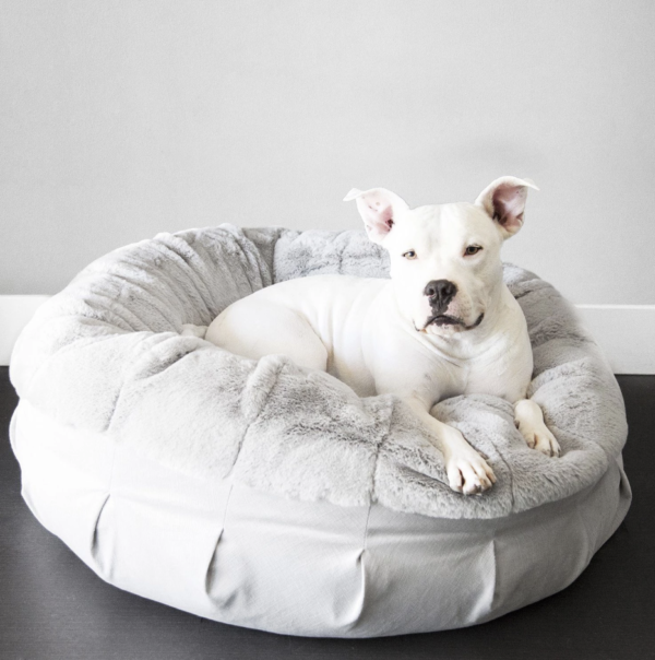 31-dog-gifts-medium-sized-dogs-ruby-puff-dog-bed
