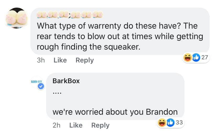 Blanket in toy barkbox pigs a BarkBox Admits