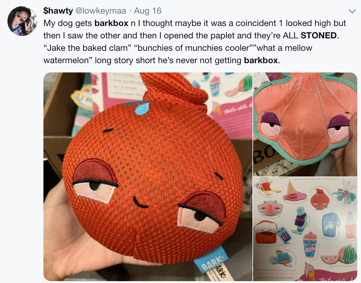 Blanket in toy barkbox pigs a BarkShop Sex
