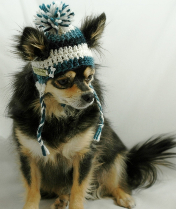 dog wearing crochet hat