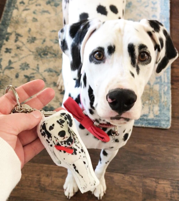 dalmatian with pillow key chain
