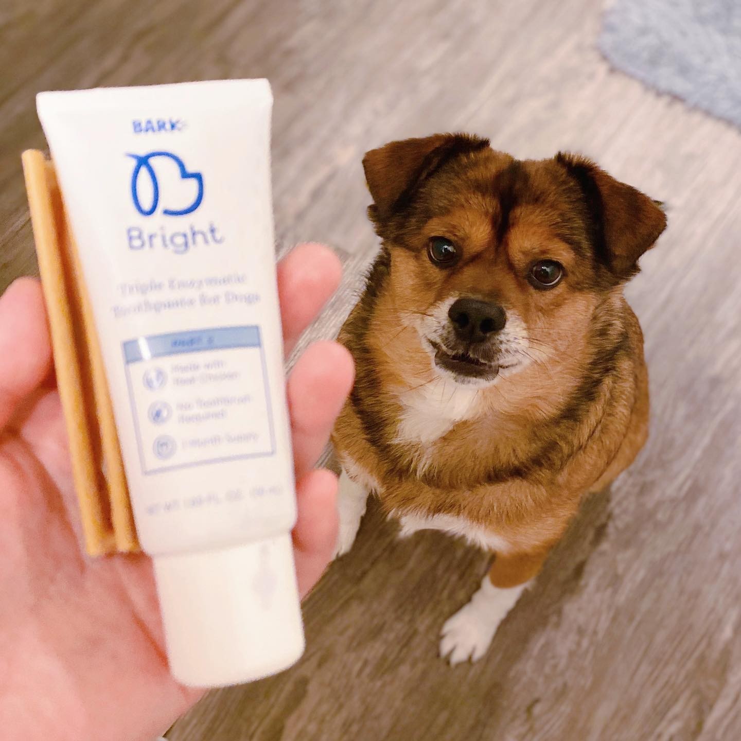 Actual BARK Bright Reviews (With Photos From Real Customers!)