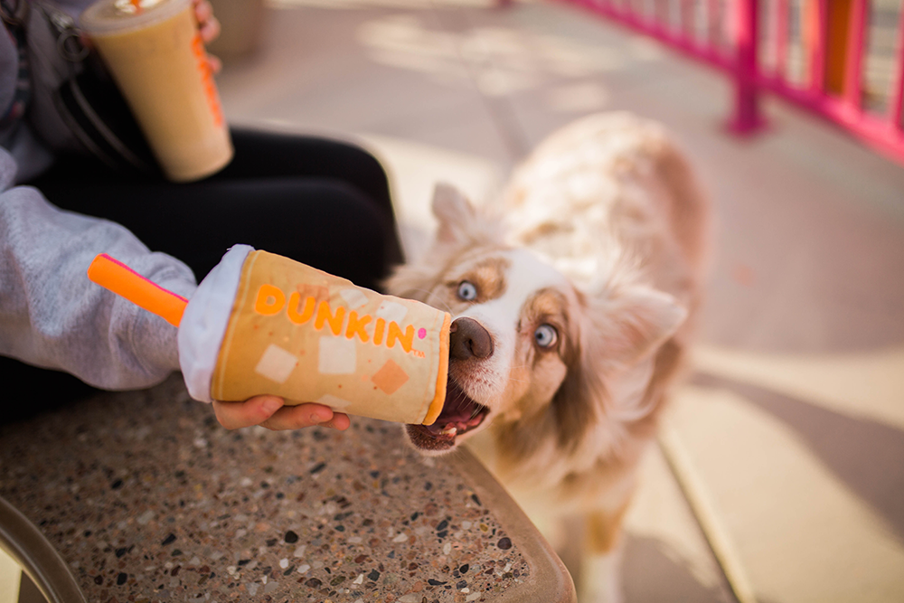 BARK Made Dunkin' Iced Coffee And Donut Toys For Dogs—Here's How To Get