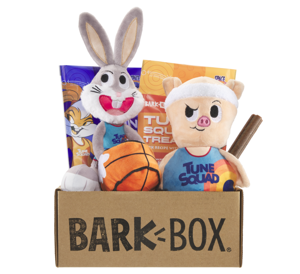 July Barkbox Space Jam Theme with toys and treat