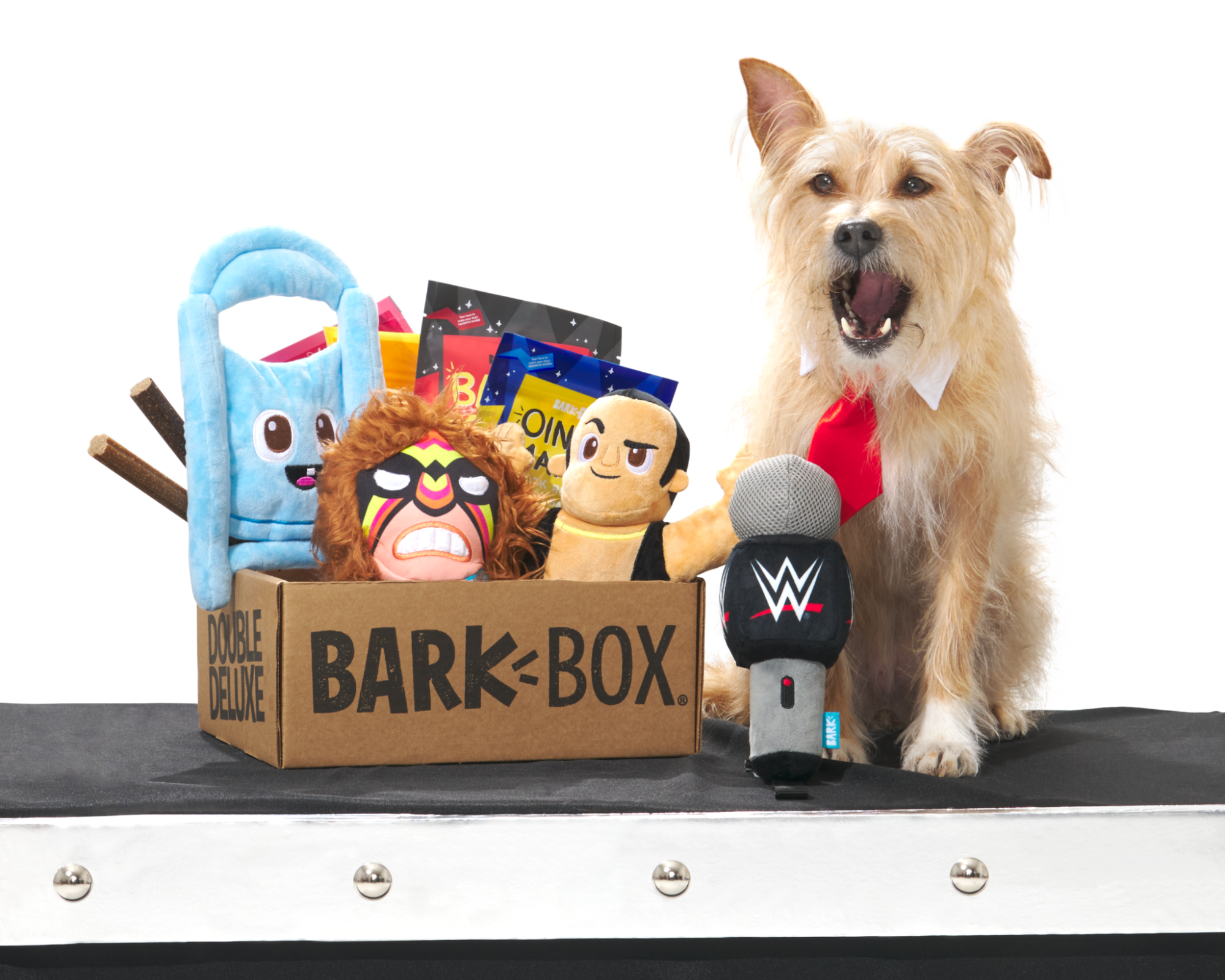 BarkBox & WWE Tag Team To Bring Dogs Limited-Edition Box