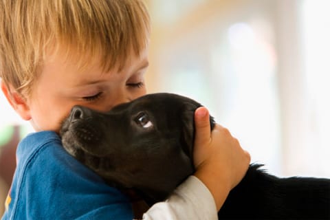 how smart is a dog compared to a child