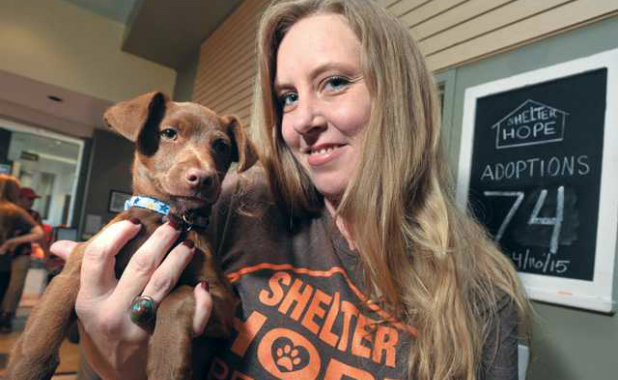 Alternative Pet Store Is Working To End Puppy Mills Once And For All   Shelter Hope Pet Shop Puppy Mills Dog Cute 