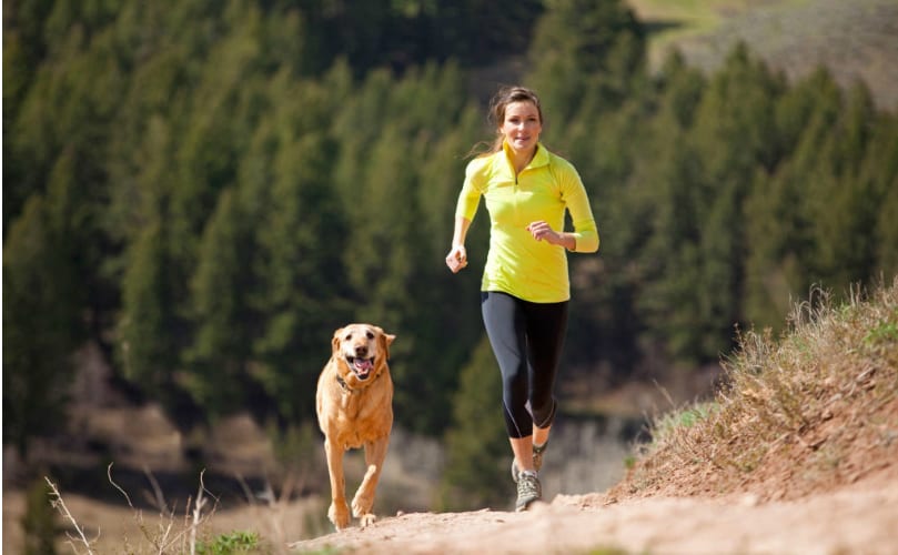 are boxers a good jogging partner