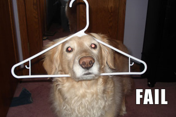 dog fail meme