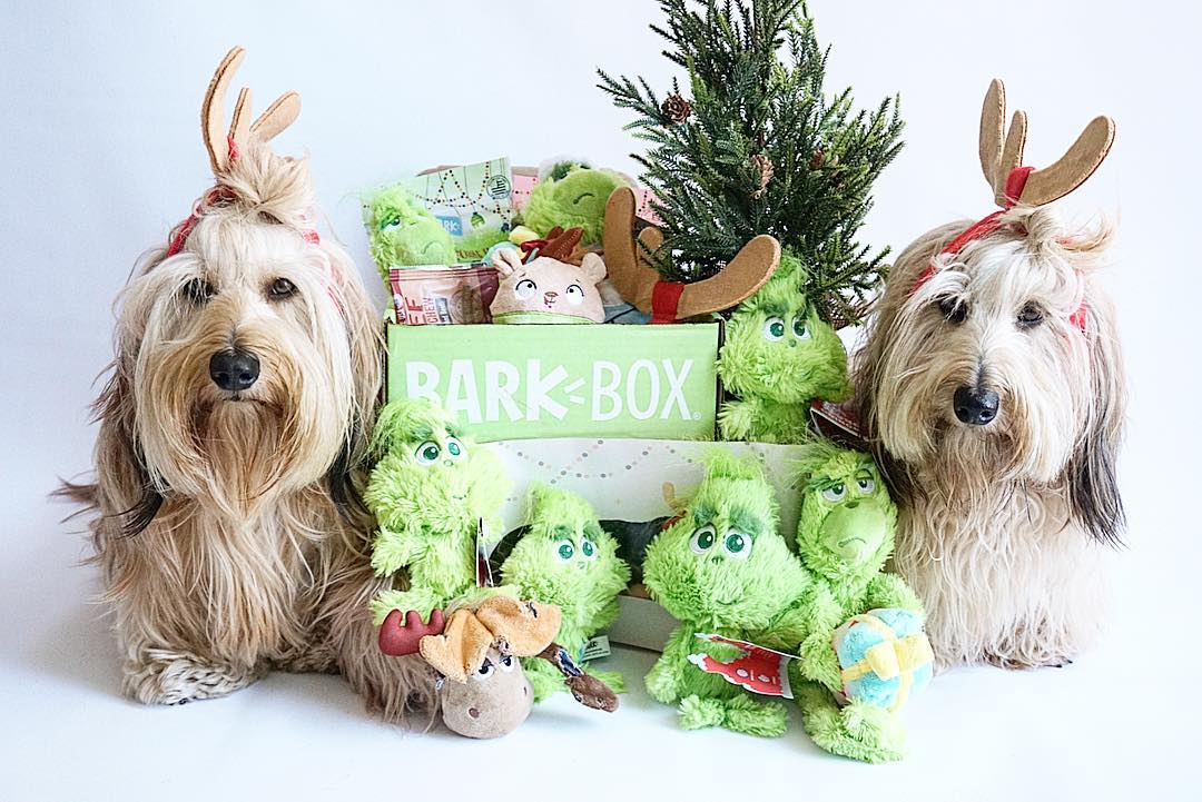 Grinch barkbox clearance toy