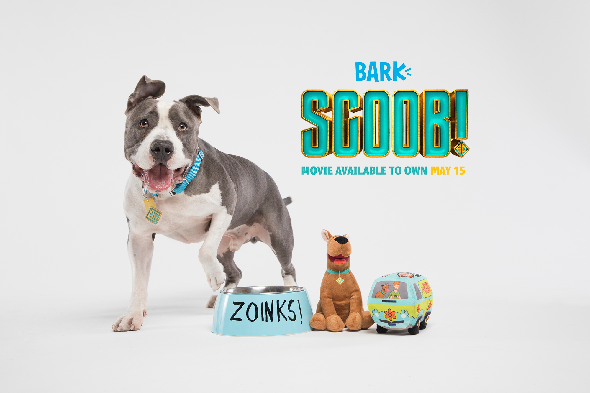 barkbox muttley