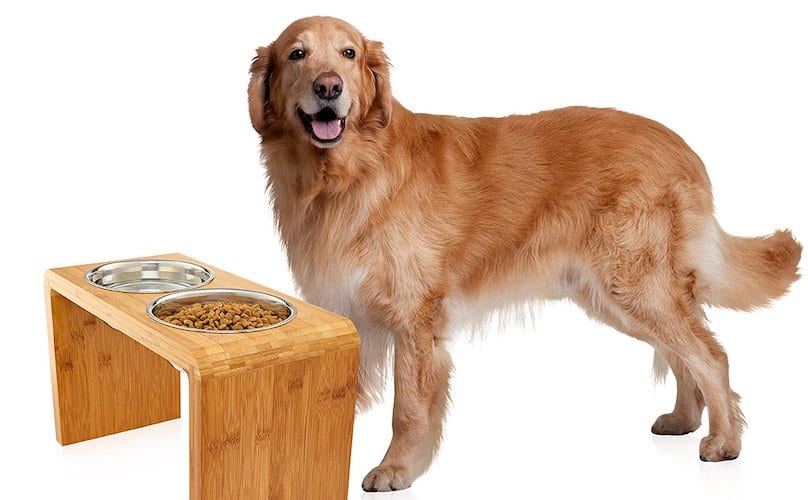 Help Your Dog Eat Easier with a Simple Elevated Bowl Holder 