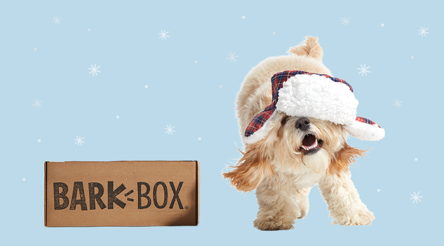 Reveal January's BarkBox Theme For A Magical & Frosty Surprise