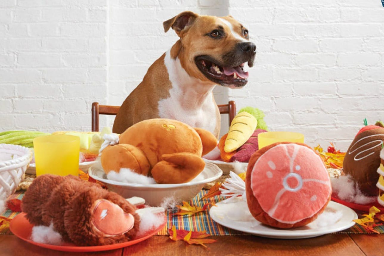 10 Things We d Never Know About Dogs Without Science BARK Post