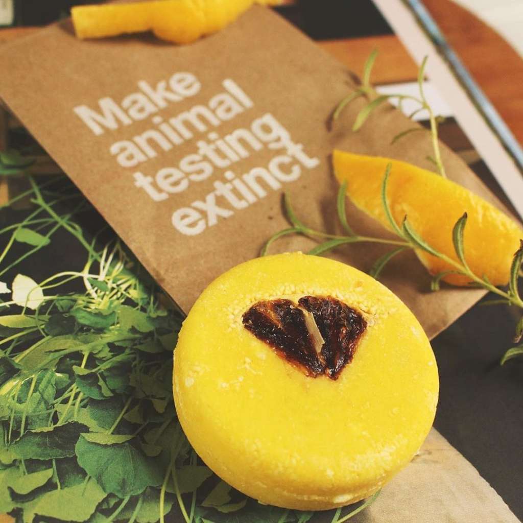 promotional image from lush cosmetics